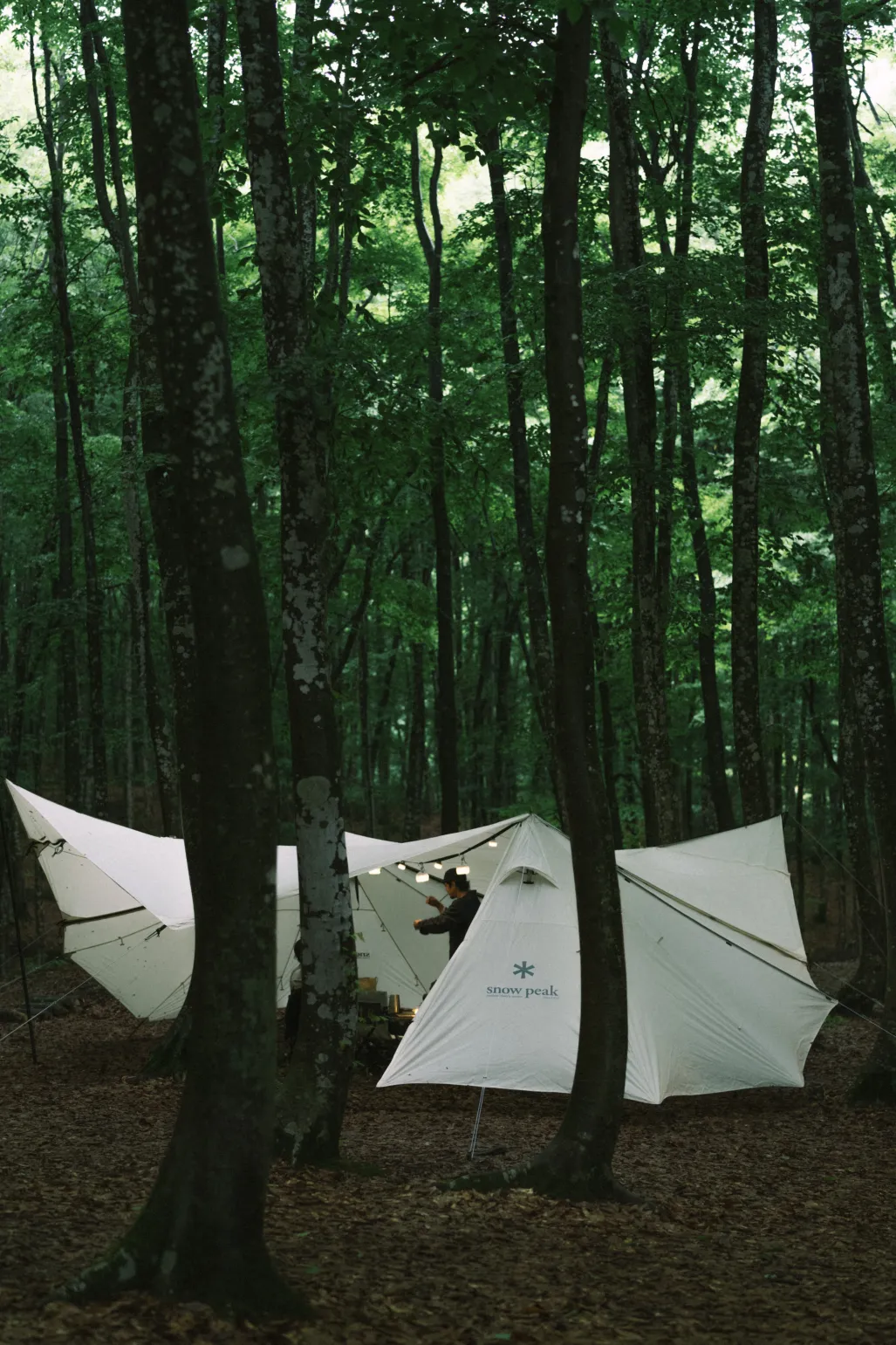 Land Station L Ivory