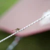 Polypropylene Rope Pro. 3mm