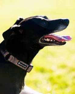 SP Slip Collar
